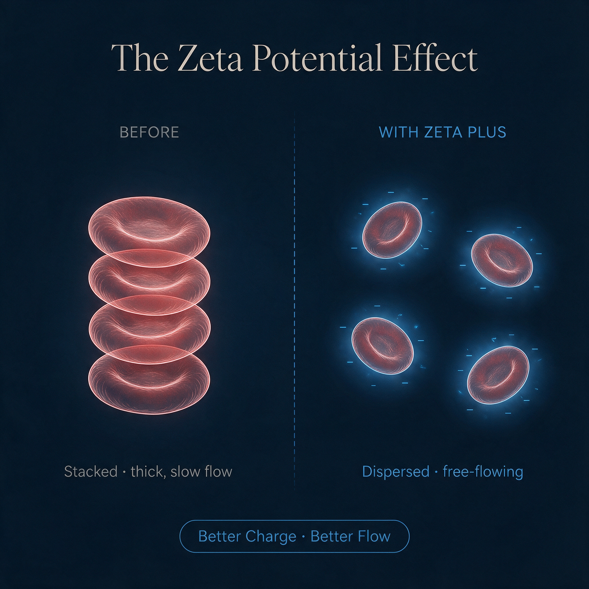Zeta Potential Rbc Zeta Potential